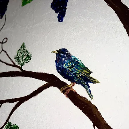 Campetrus- Dom Krawca *